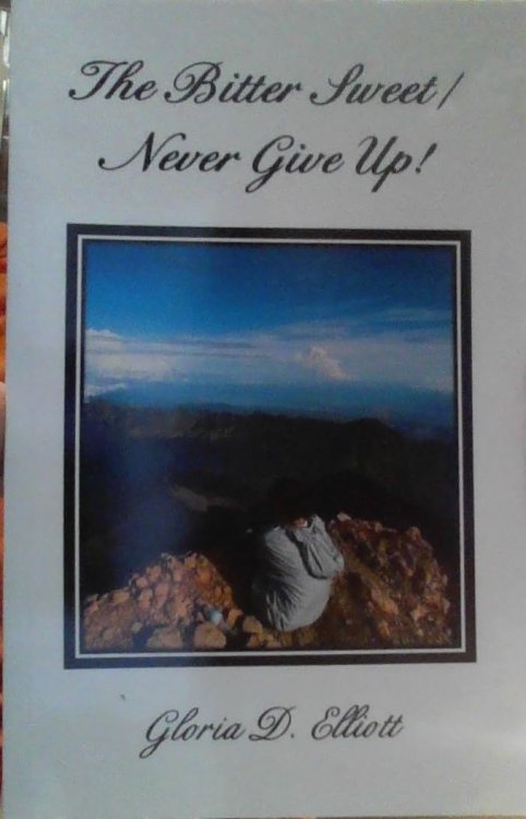 The Bitter Sweet / Never Give Up!