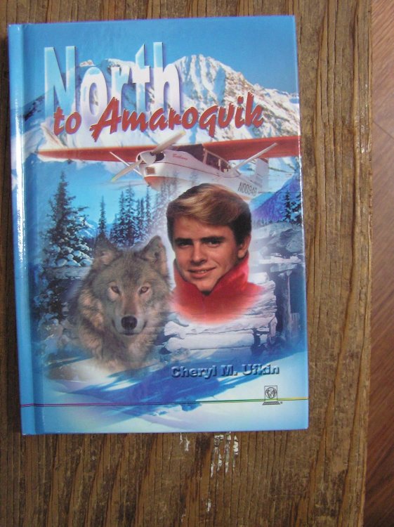 North to Amaroqvik