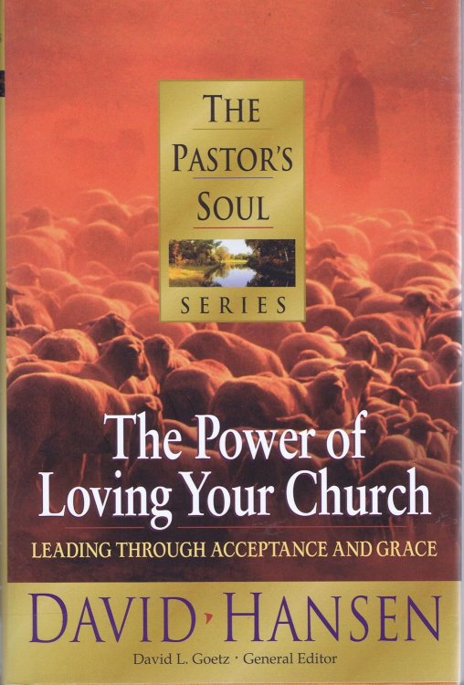 The Power of Loving Your Church: Leading Through Acceptance and Grace (PASTORS SOUL SERIES)