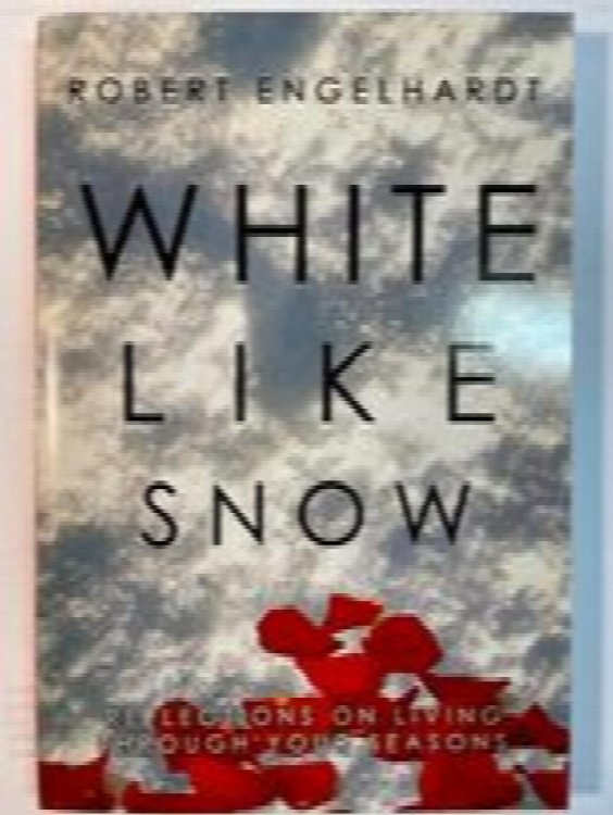 White Like Snow: Reflections On Living Through Your Seasons