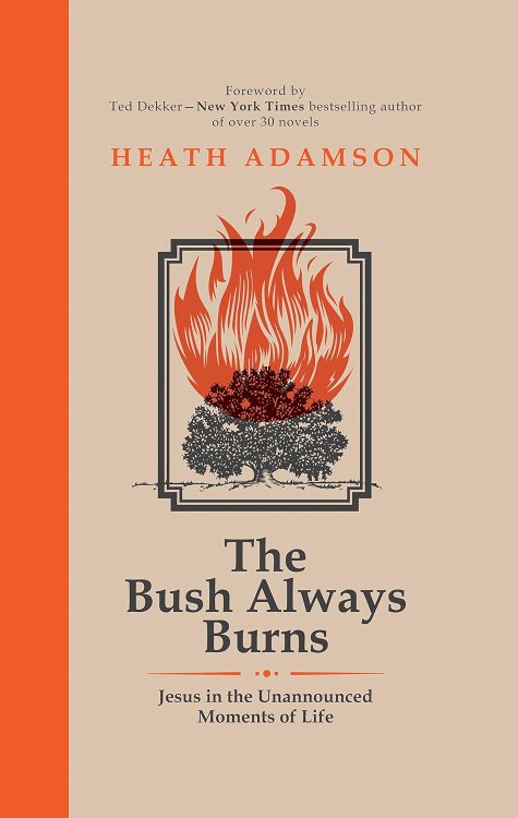 The Bush Always Burns: Jesus in the Unannounced Moments of Life
