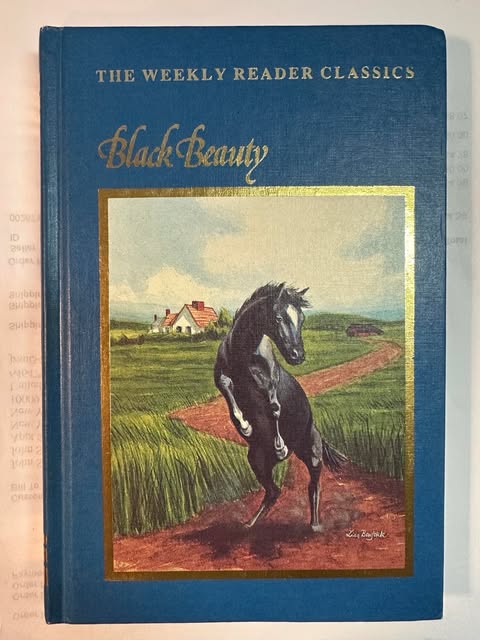 Black Beauty