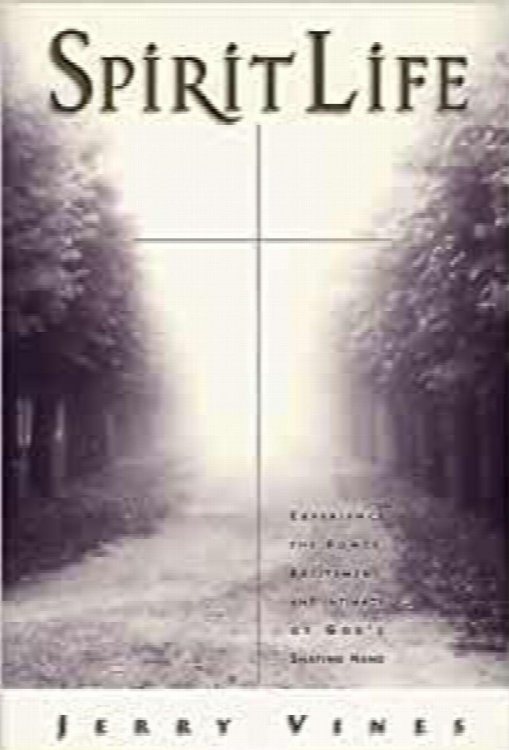 Spirit Life: Experience the Power, Excitement, and Intimacy of God's Shaping Hand