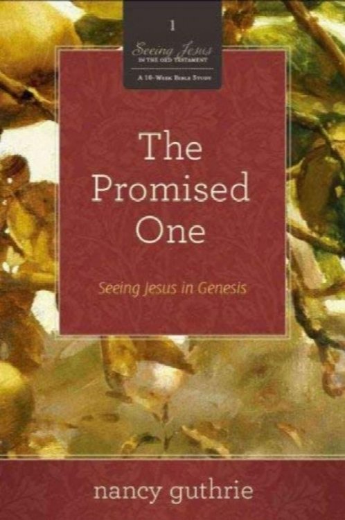 The Promised One (A 10-week Bible Study): Seeing Jesus in Genesis (Seeing Jesus in the Old Testament)