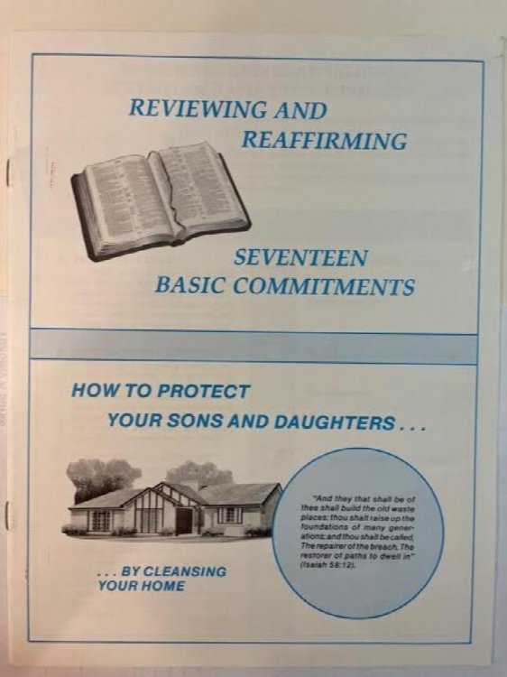 Reviewing And Reaffirming Seventeen Basic Commitments By Cleaning Your Home