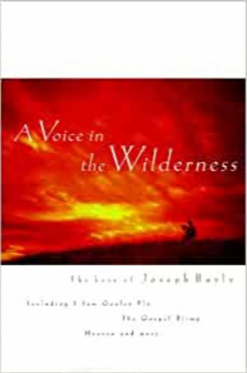 A Voice In The Wilderness