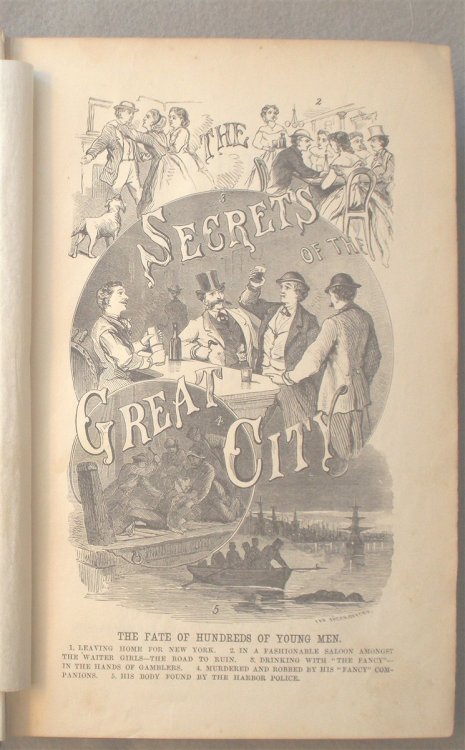 The Secrets of the Great City: a Work Discriptive of the Virtues and the Vices, the Mysteries, Miseries and Crimes of New York City