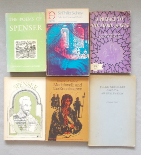 6 Books on Elizabethan & Renaissance Poetry