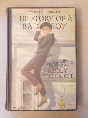 The Story of a Bad Boy