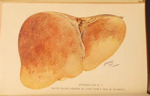 Clinical Obstetrics, with 47 Illustrations