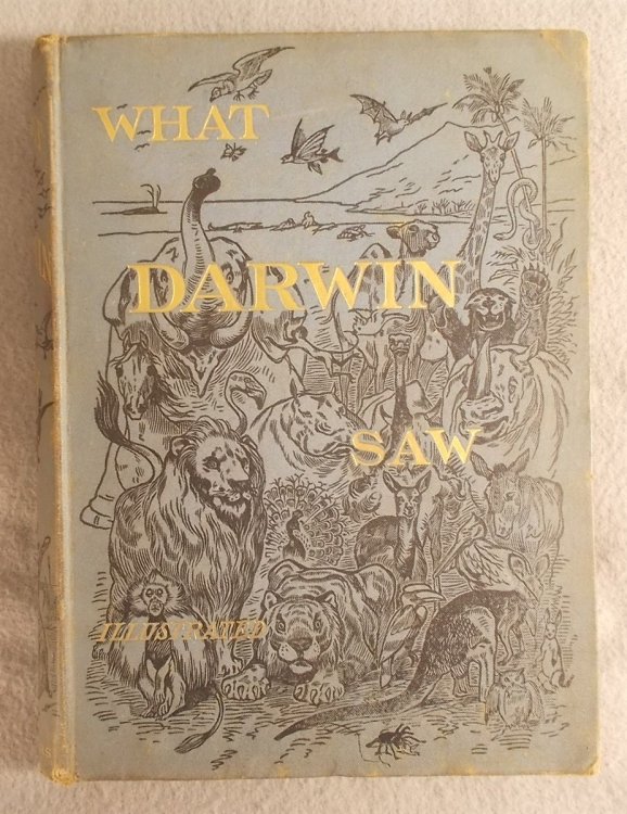 What Mr. Darwin Saw in His Voyage Round the World in the Ship 'beagle'