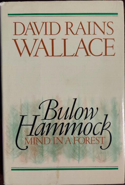 Bulow Hammock : Mind in a Forest