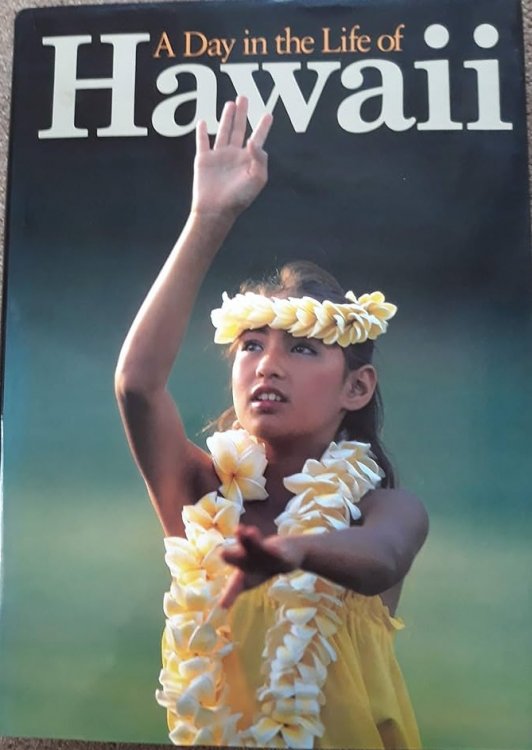 A Day in the Life of Hawaii