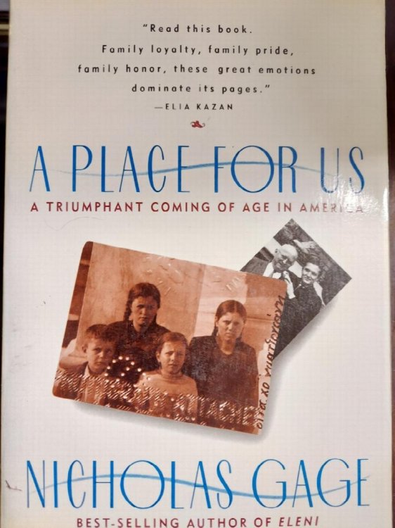 A Place for Us : A Triumphant Coming of Age in America