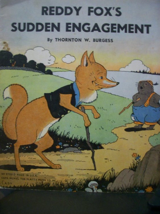 Reddy Fox's Sudden Engagement