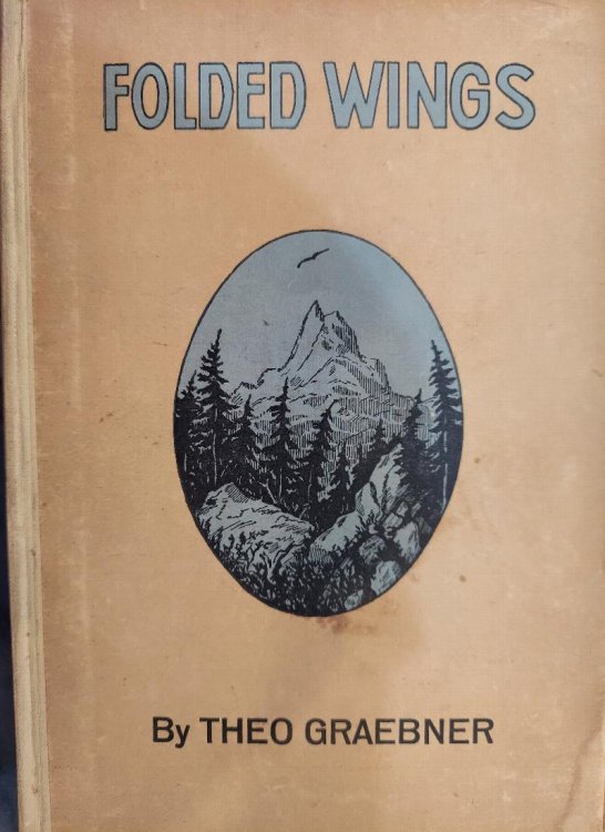 Folded Wings and Other Stories from High School Life
