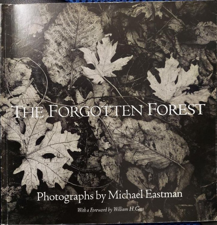 The Forgotten Forest