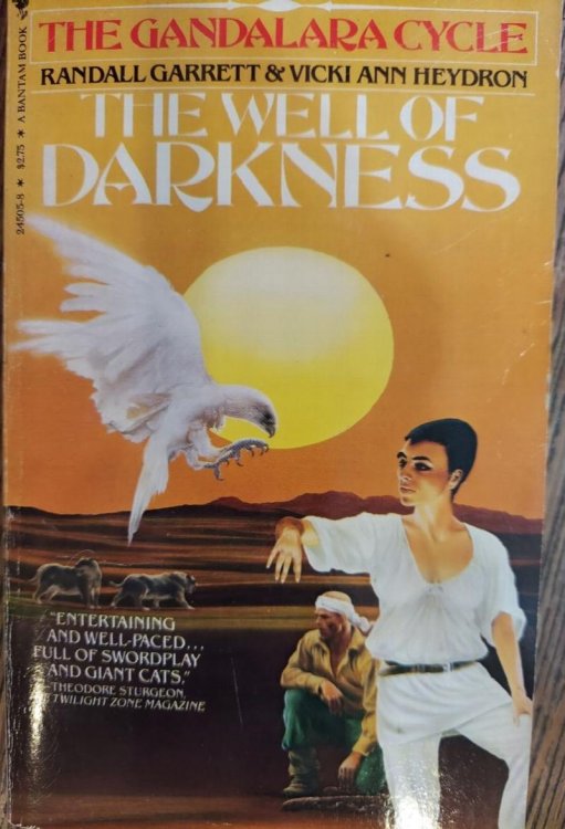 The Well of Darkness: The Gandalara Cycle IV