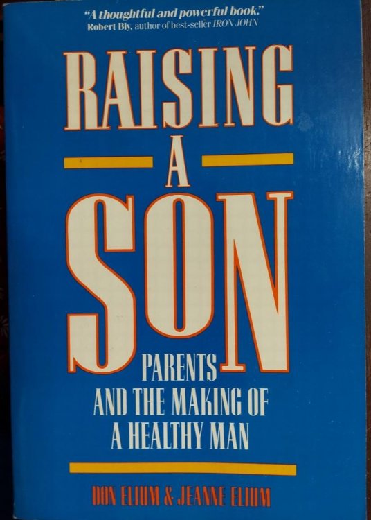 Raising a Son: Parents and the Making of a Healthy Man