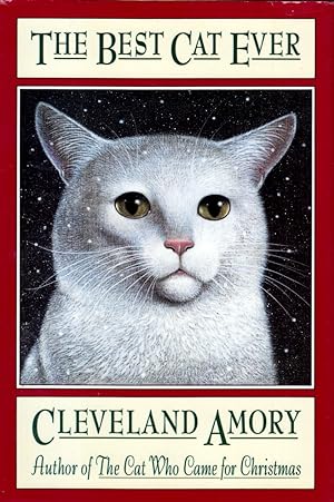 The Best Cat Ever