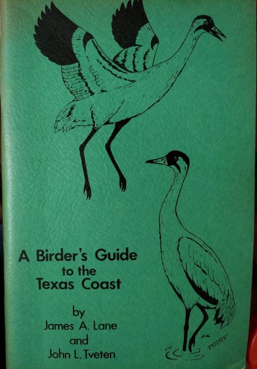 A Birder's Guide to the Texas Coast
