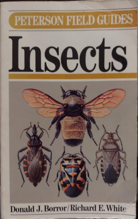 A Field Guide to Insects of America North of Mexico (Peterson Field Guide Series, No. 19)