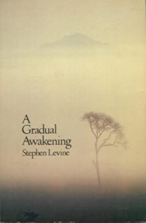 A Gradual Awakening