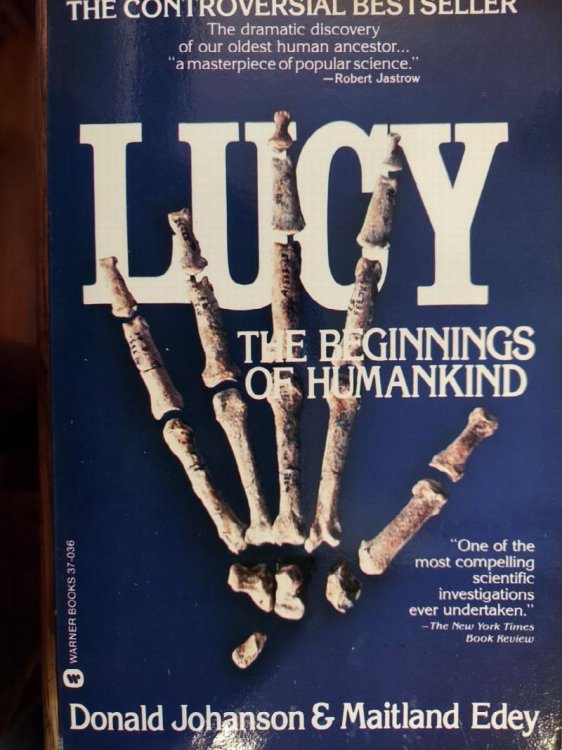 Lucy, the Beginnings of Humankind