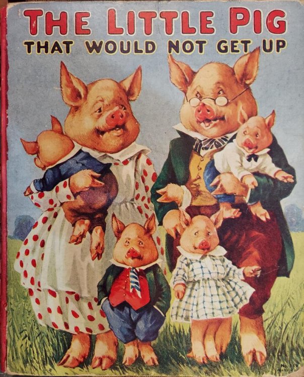 The Little Pig That Would Not Get Up