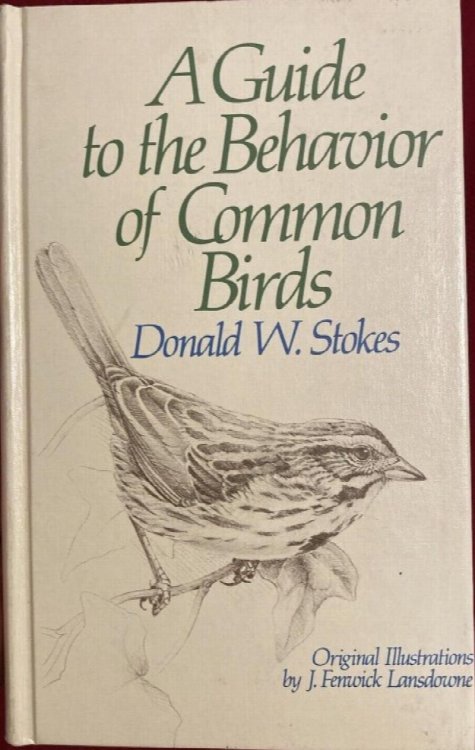 A Guide to the Behavior of Common Birds