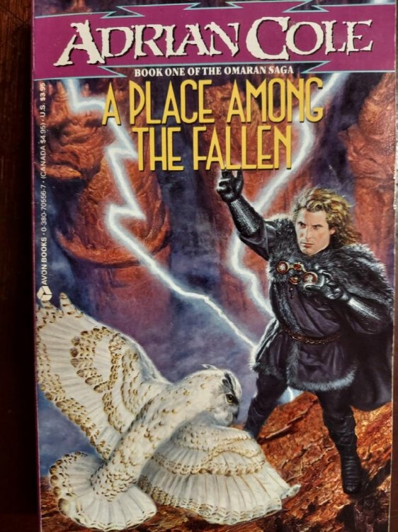 A Place Among the Fallen (Omaran Saga, Book 1)