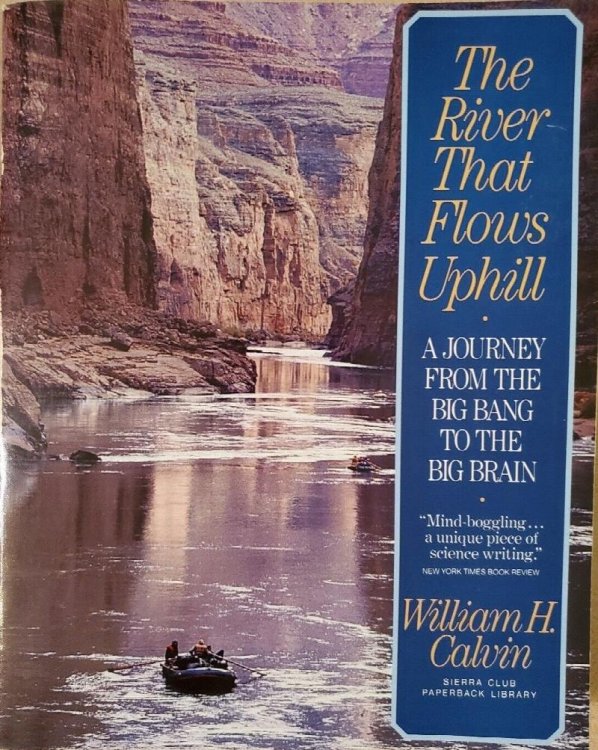 The River that Flows Uphill: A Journey From the Big Bang to the Big Brain