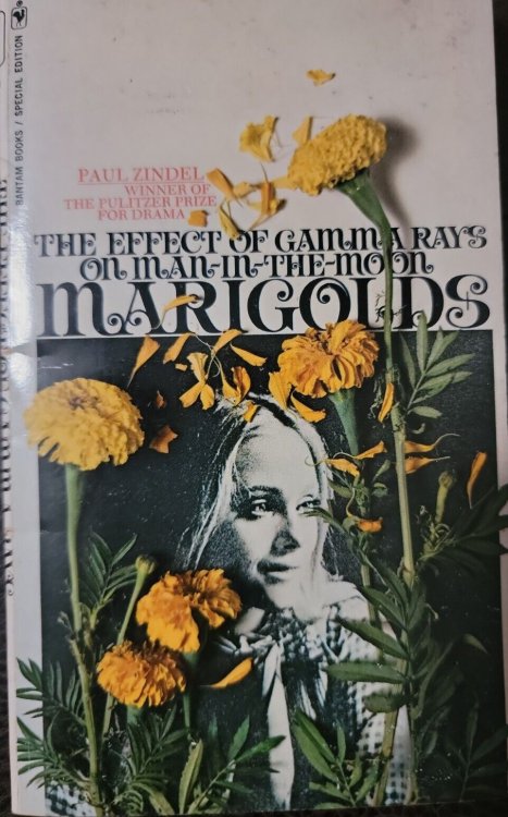 The Effect of Gamma Rays on Man-in-the-Moon Marigolds