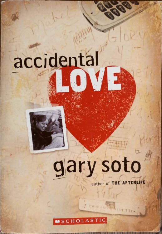 Accidental Love