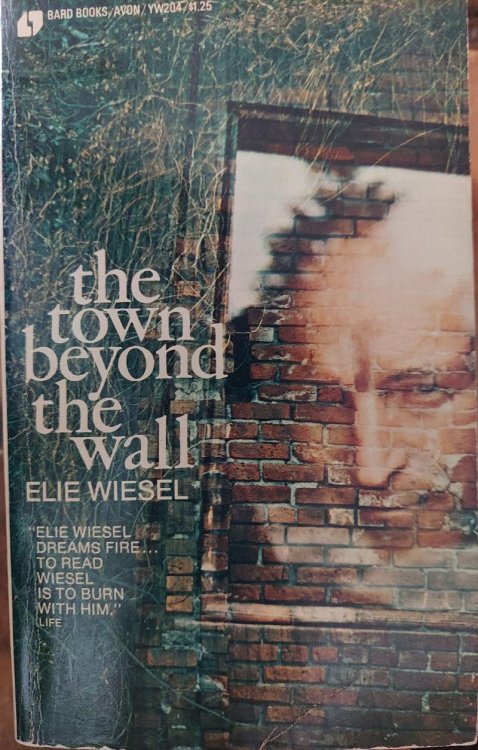 The Town Beyond the Wall