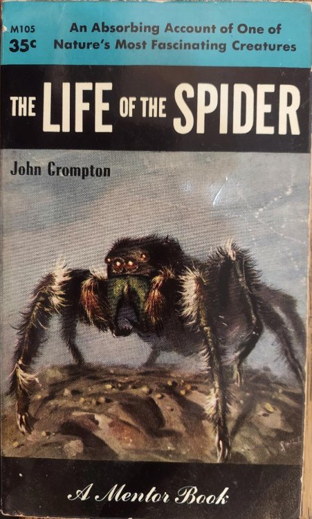 The Life of the Spider