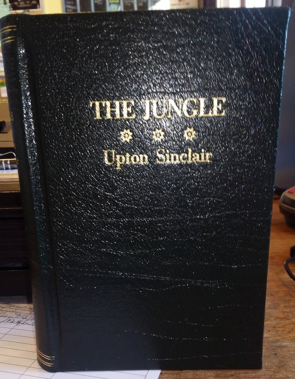 The Jungle - First Edition