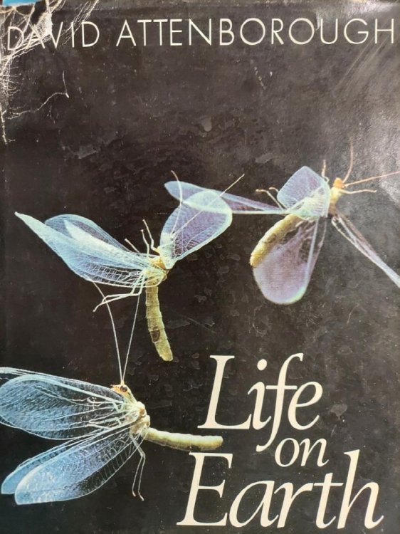 Life on Earth