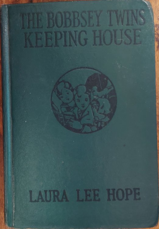 The Bobbsey Twins Keeping House