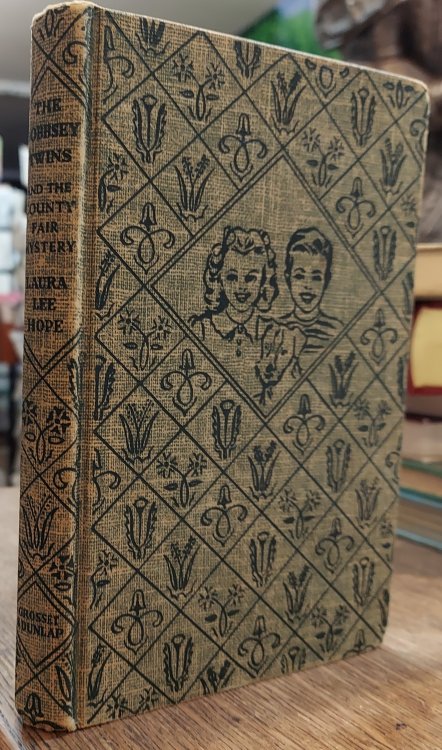 The Bobbsey Twins and the County Fair Mystery