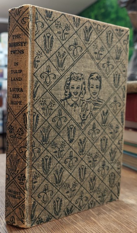 The Bobbsey Twins in Tulip Land