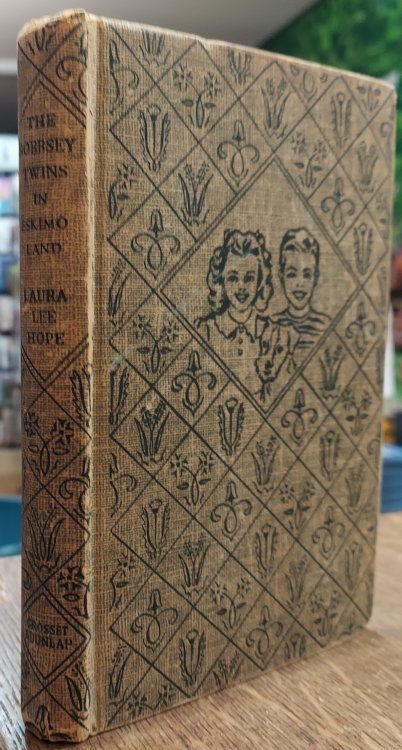 The Bobbsey Twins in Eskimo Land