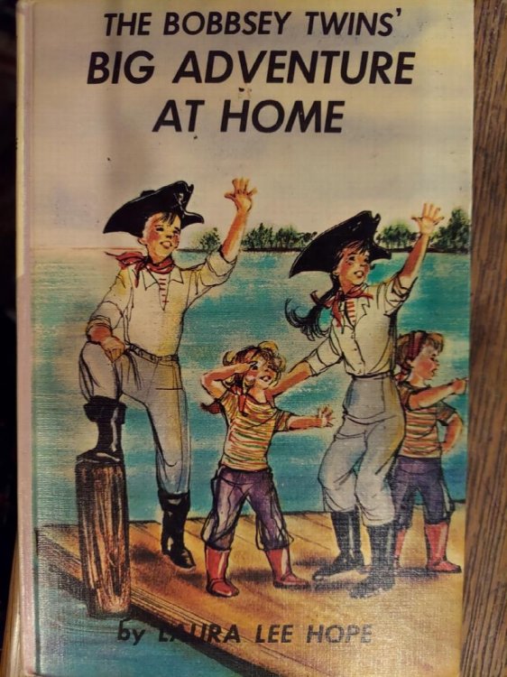 The Bobbsey Twins' Big Adventure at Home