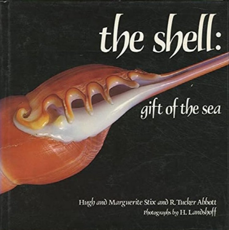 The Shell : Gift of the Sea