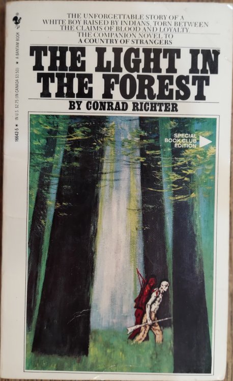 The Light in the Forest