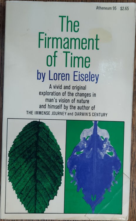 The Firmament of Time