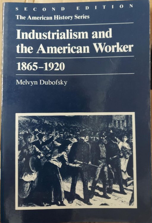 Industrialism and the American Worker, 1865-1920 (Second Edition)