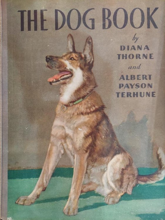 The Dog Book