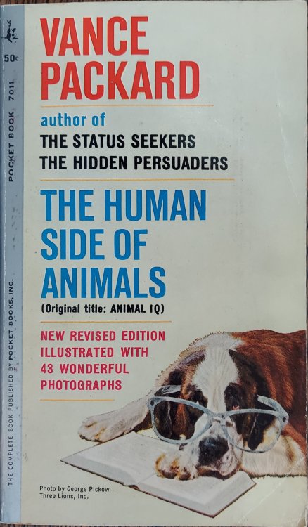 The Human Side of Animals