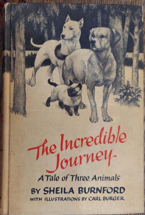 The Incredible Journey